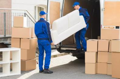 1637882554143179.jpg 135.jpg